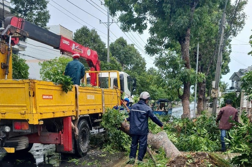 Cây xanh ở Đồng Tháp bị đổ ngã do lốc xoáy. Ảnh: Minh Đảm. Cây xanh ở Đồng Tháp bị đổ ngã do lốc xoáy. Ảnh: Minh Đảm.