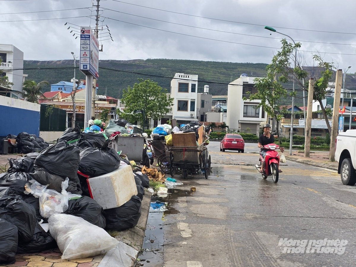 Rác thải tập kết tại đường vào chung cư Cẩm Bình (TP Cẩm Phả cũ), nhiều ngày nay chưa được thu gom, vận chuyển. Ảnh: Cường Vũ. Rác thải tập kết tại đường vào chung cư Cẩm Bình (TP Cẩm Phả cũ), nhiều ngày nay chưa được thu gom, vận chuyển. Ảnh: Cường Vũ.