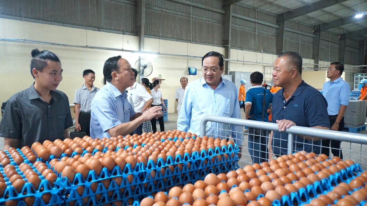 Đoàn đến thăm và làm việc tại QL Vietnam Agroresources. Ảnh: Trần Trung. Đoàn đến thăm và làm việc tại QL Vietnam Agroresources. Ảnh: Trần Trung.