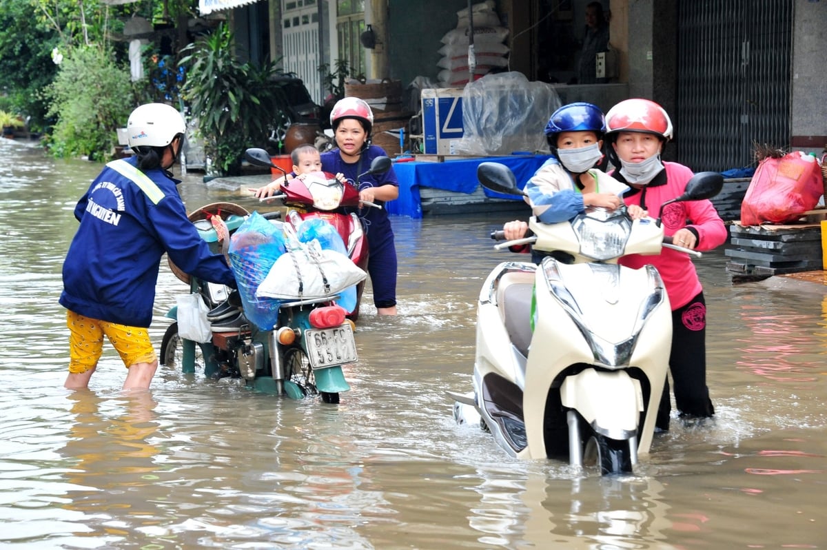 Người dân Cần Thơ lội nước giữa trung tâm thành phố sau cơn mưa lớn. Ảnh: Lê Hoàng Vũ. Người dân Cần Thơ lội nước giữa trung tâm thành phố sau cơn mưa lớn. Ảnh: Lê Hoàng Vũ.