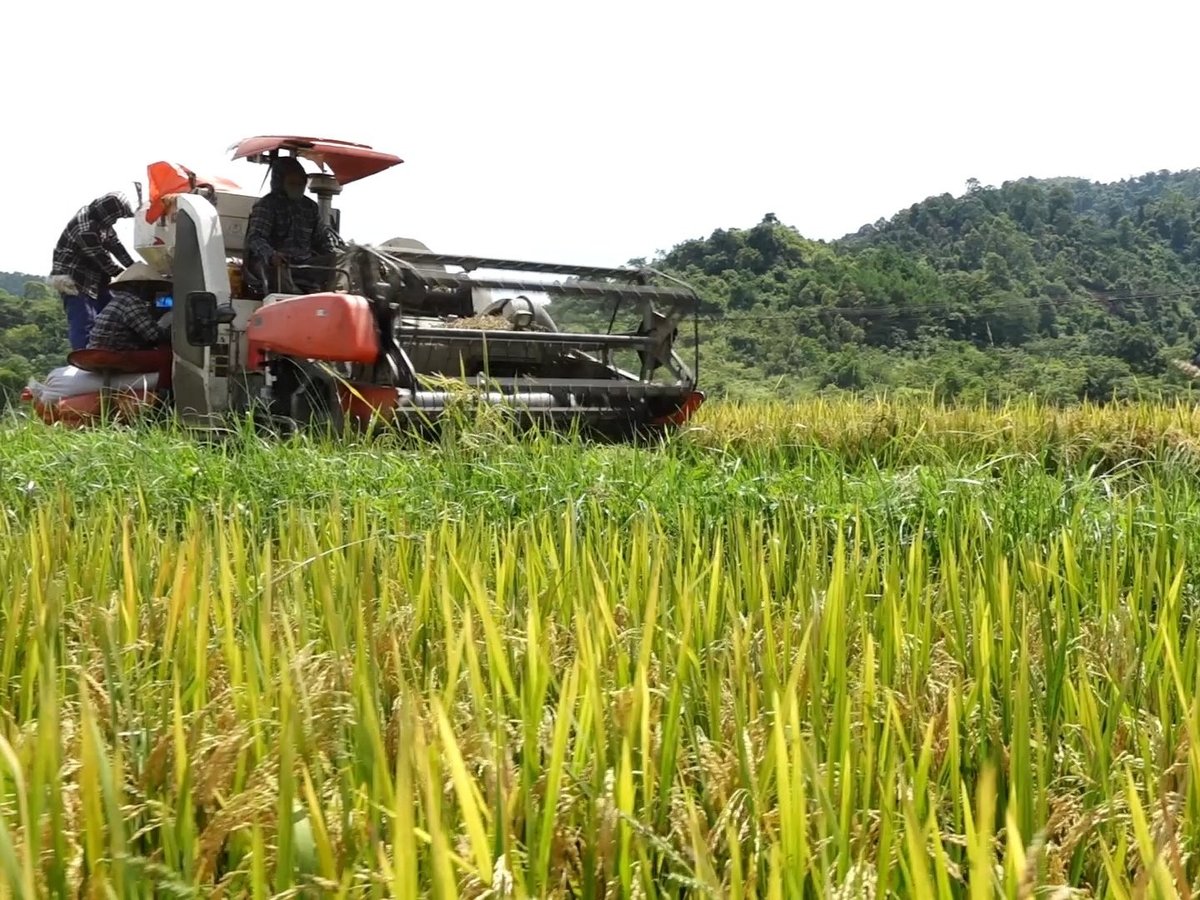 Ngành nông nghiệp và môi trường Lạng Sơn đề ra hàng loạt giải pháp phòng ngừa các đe dọa an ninh phi truyền thống lĩnh vực sản xuất nông nghiệp. Ảnh: Hoàng Nghĩa. Ngành nông nghiệp và môi trường Lạng Sơn đề ra hàng loạt giải pháp phòng ngừa các đe dọa an ninh phi truyền thống lĩnh vực sản xuất nông nghiệp. Ảnh: Hoàng Nghĩa.
