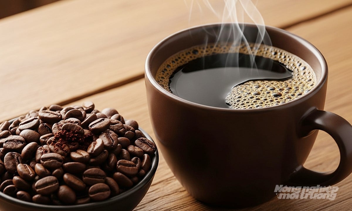 Giá cà phê hôm nay 23/7/2025 ở trong nước và thế giới mới nhất Giá cà phê hôm nay 23/7/2025 ở trong nước và thế giới mới nhất