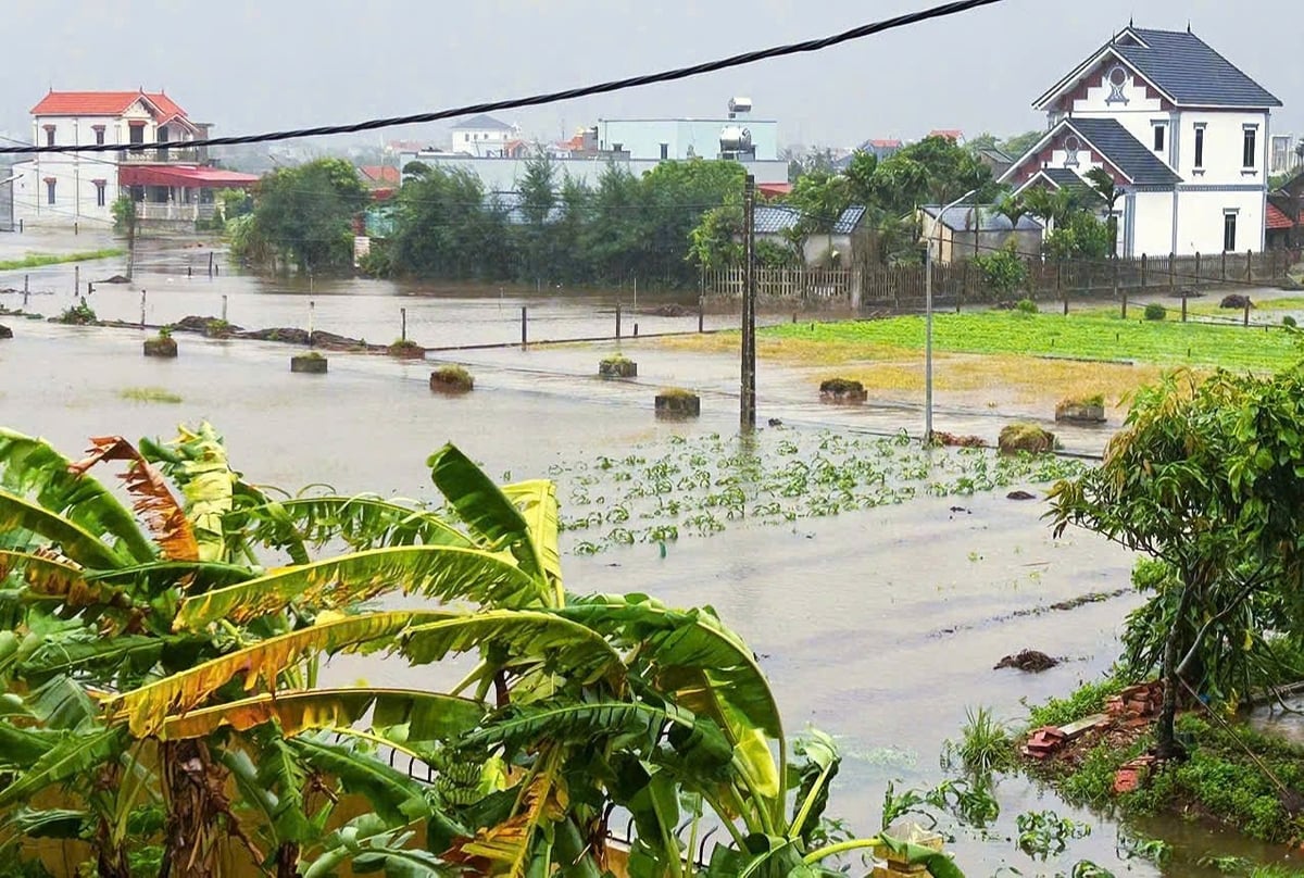 Nước trong đồng tại nhiều khu vực tại Ninh Bình còn cao, nhưng việc mở cống ven biển tiêu nước phụ thuộc vào con triều, khi nào triều rút thì mới có thể mở cống. Ảnh: Phạm Hiếu. Nước trong đồng tại nhiều khu vực tại Ninh Bình còn cao, nhưng việc mở cống ven biển tiêu nước phụ thuộc vào con triều, khi nào triều rút thì mới có thể mở cống. Ảnh: Phạm Hiếu.
