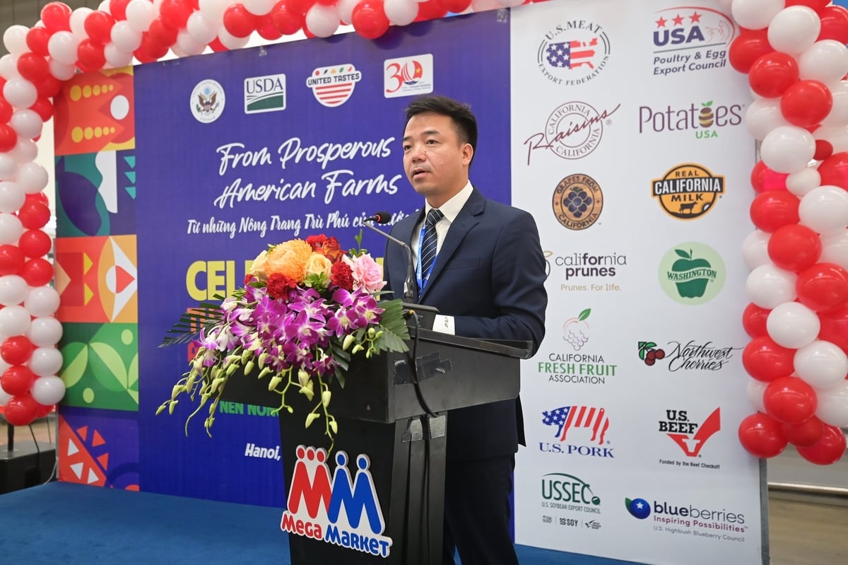 Giám đốc điều hành MM Mega Market Việt Nam Nguyễn Đức Toàn. Ảnh: Tùng Đinh.