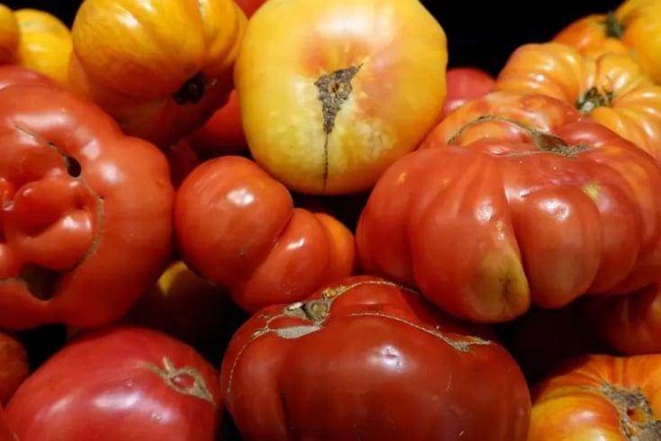 Tomatoes from Mexico are displayed on a grocery store shelf on July 14, 2025 in San Anselmo, California. Photo: Justin Sullivan / Getty Images.