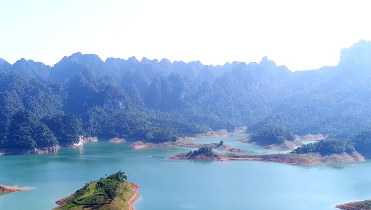 Tỉnh Tuyên Quang tiếp tục là một trong ba địa phương dẫn đầu cả nước về độ che phủ rừng. Ảnh: Đào Thanh. Tỉnh Tuyên Quang tiếp tục là một trong ba địa phương dẫn đầu cả nước về độ che phủ rừng. Ảnh: Đào Thanh.
