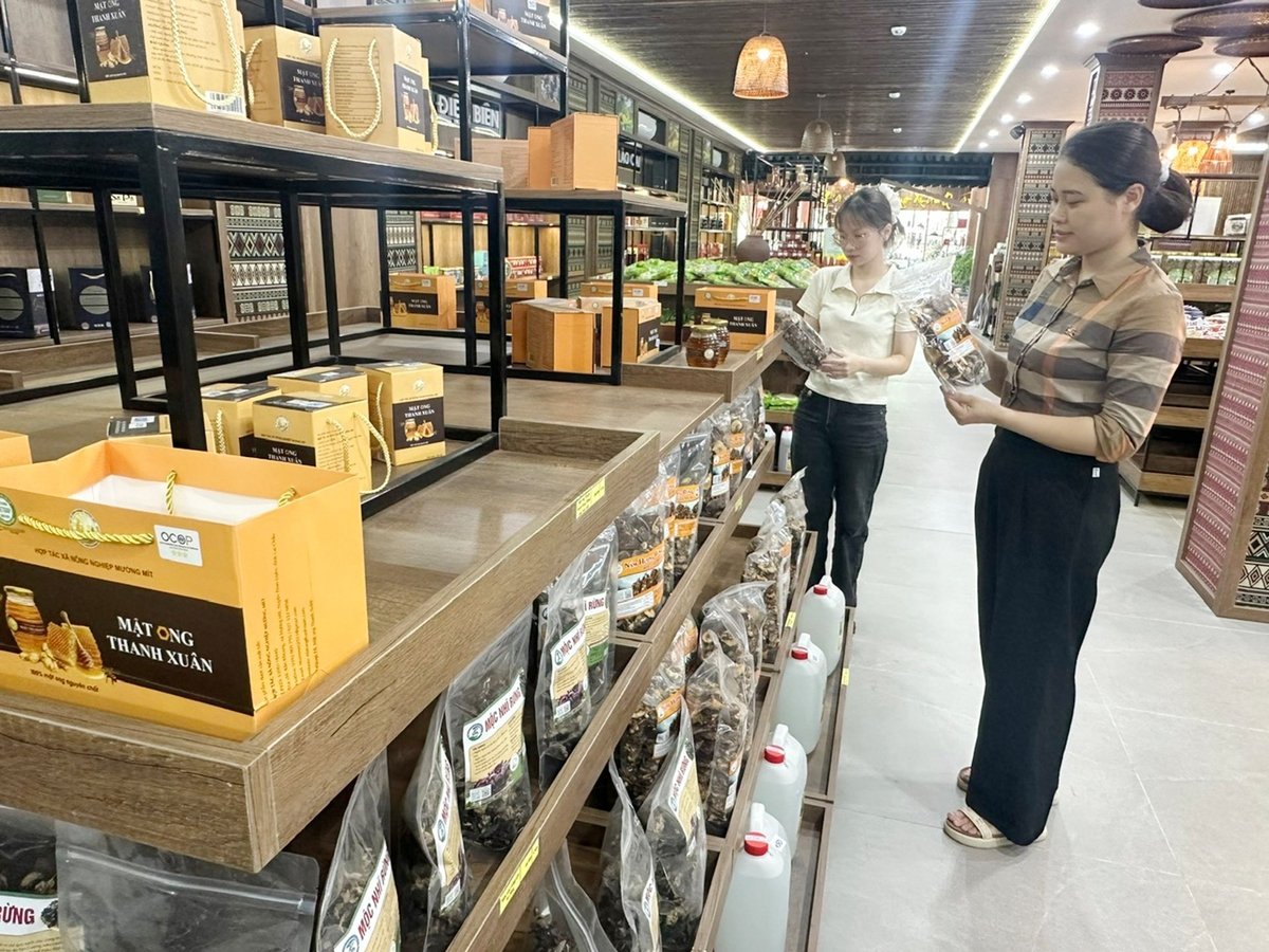  Lào Cai đẩy mạnh phát triển OCOP, nhiều sản phẩm vươn xa, vào siêu thị lớn. Ảnh: Bích Hợp.