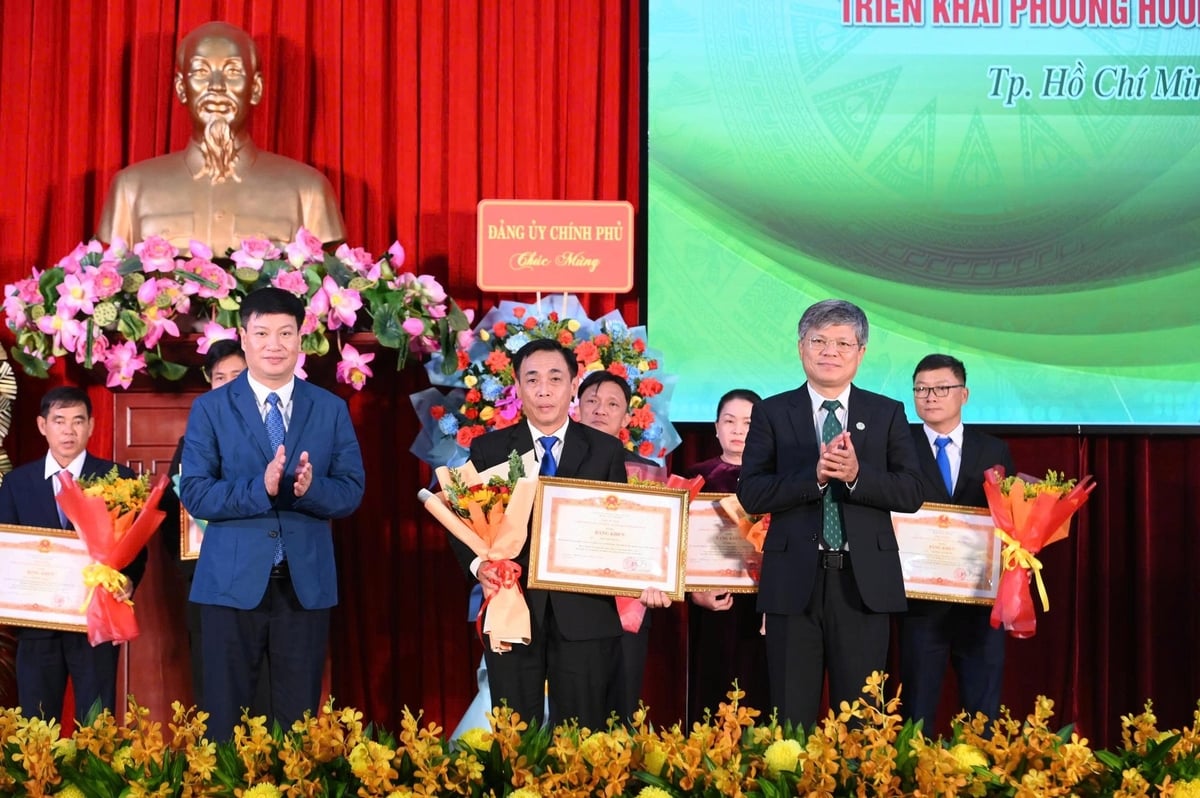 Một cá nhân của VRG nhận Bằng khen của Thủ tướng Chính phủ. Ảnh: VRG. Một cá nhân của VRG nhận Bằng khen của Thủ tướng Chính phủ. Ảnh: VRG.