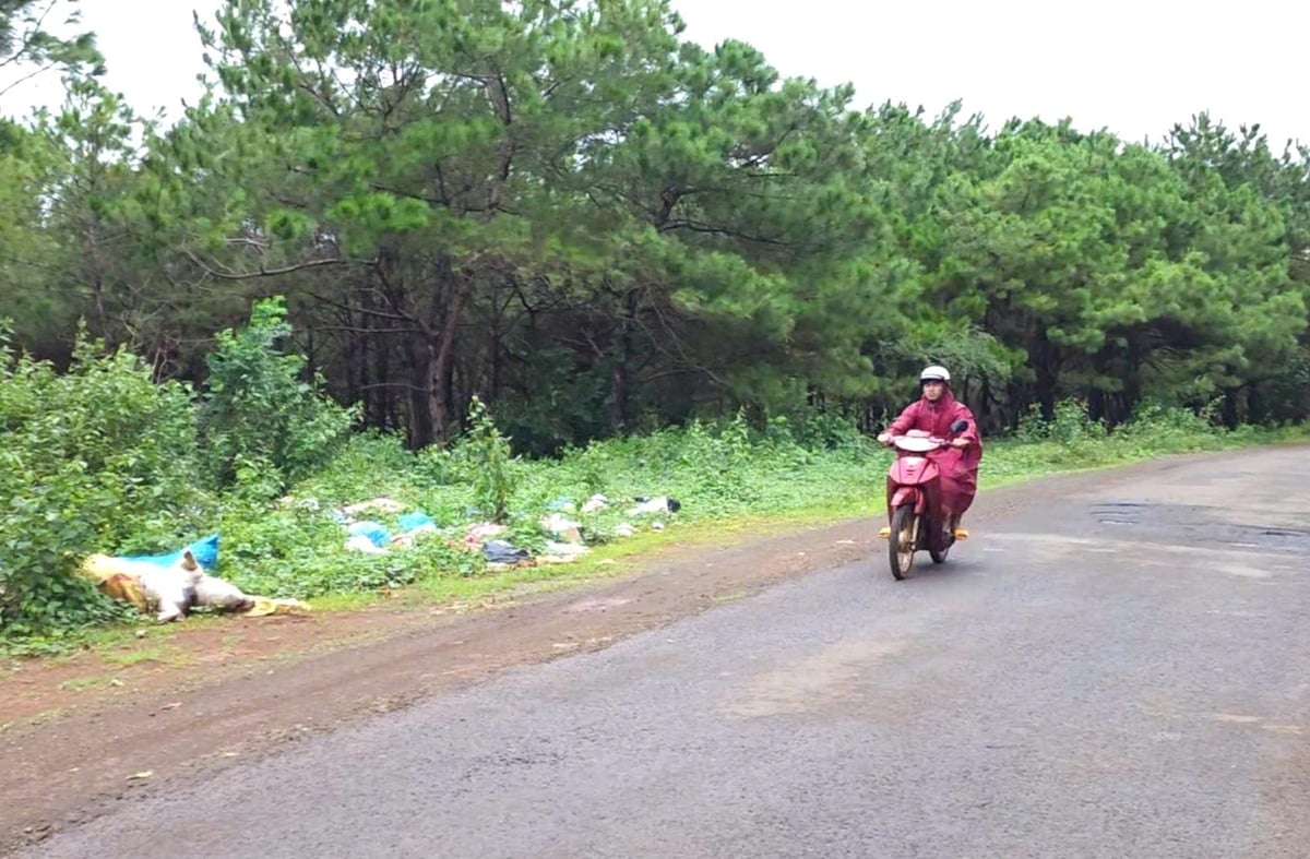 Người dân đi đường lo ngại ô nhiễm môi trường, dịch bệnh. Ảnh: Tuấn Anh. Người dân đi đường lo ngại ô nhiễm môi trường, dịch bệnh. Ảnh: Tuấn Anh.