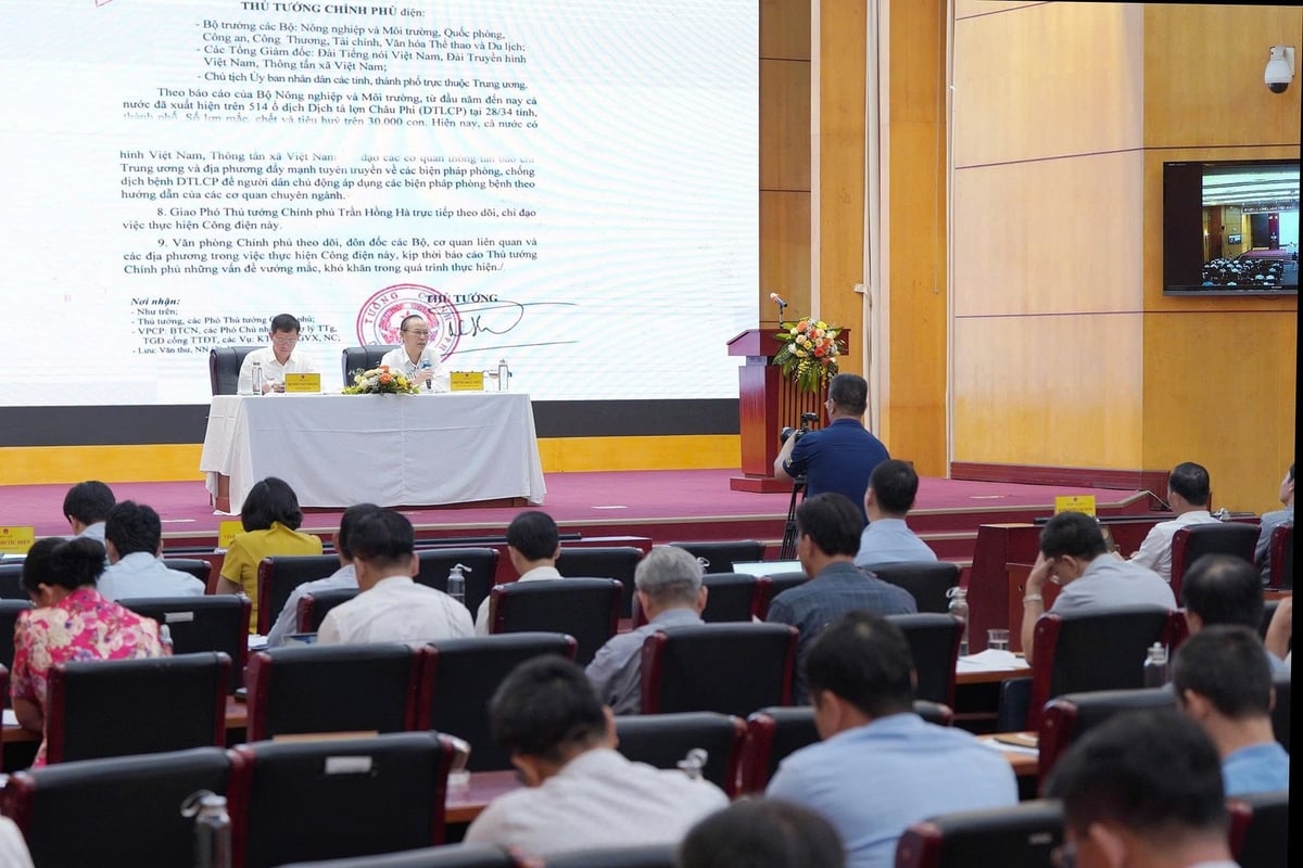 Cục Chăn nuôi và Thú y tổ chức Hội nghị Phòng, chống bệnh dịch tả lợn Châu Phi và công tác kiểm soát giết mổ động vật sáng 23/7. Ảnh: Bảo Thắng. Cục Chăn nuôi và Thú y tổ chức Hội nghị Phòng, chống bệnh dịch tả lợn Châu Phi và công tác kiểm soát giết mổ động vật sáng 23/7. Ảnh: Bảo Thắng.