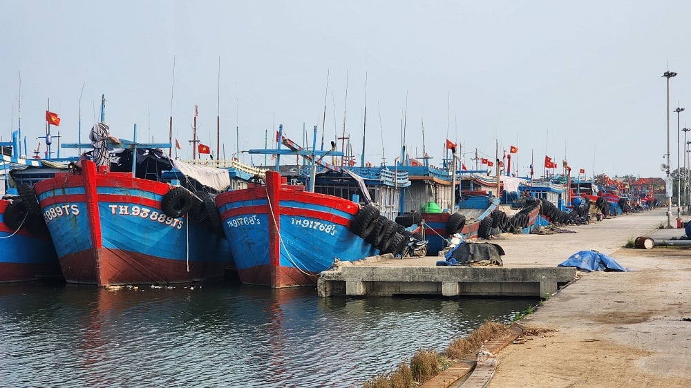 Strengthening measures to combat IUU fishing. Photo: Thu Thuy.