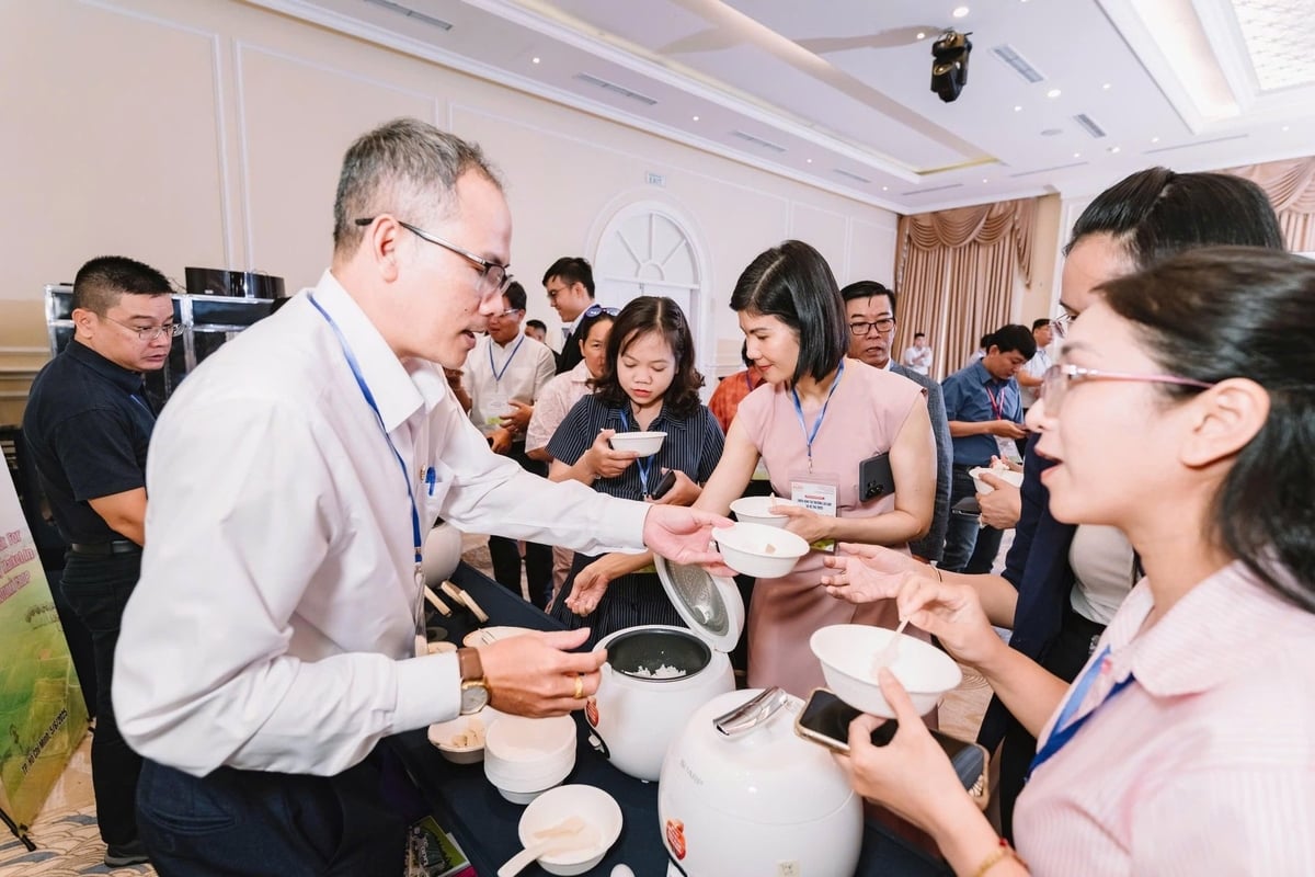 Du khách thử gạo Japo 3 Mùa. Ảnh: Lê Hoàng Vũ. Du khách thử gạo Japo 3 Mùa. Ảnh: Lê Hoàng Vũ.