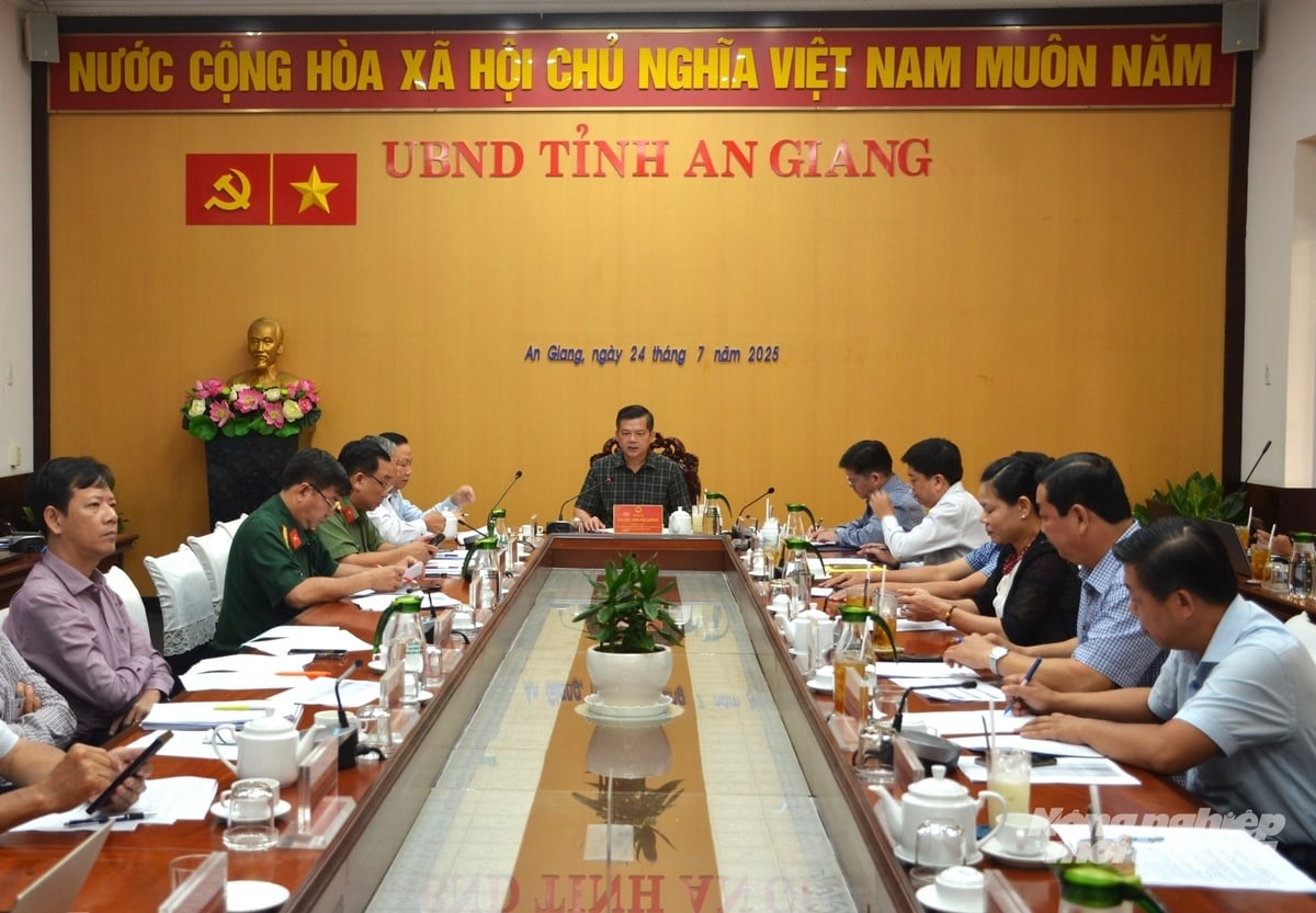 Phó Chủ tịch UBND tỉnh An Giang Giang Thanh Khoa chủ trì cuộc họp trao đổi kế hoạch tổ chức Diễn đàn kết nối sản phẩm OCOP vùng ĐBSCL năm 2025. Ảnh: Trung Chánh.