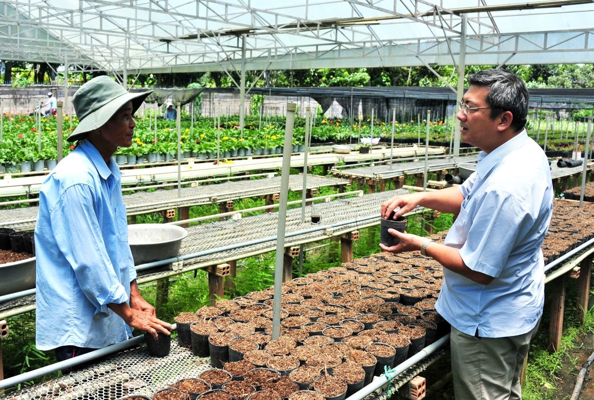 Nông dân Sa Đéc cải tiến cách phối trộn giá thể trồng hoa, nhằm thích ứng với tình trạng giá phân rơm tăng cao kéo dài. Ảnh: Lê Hoàng Vũ.
