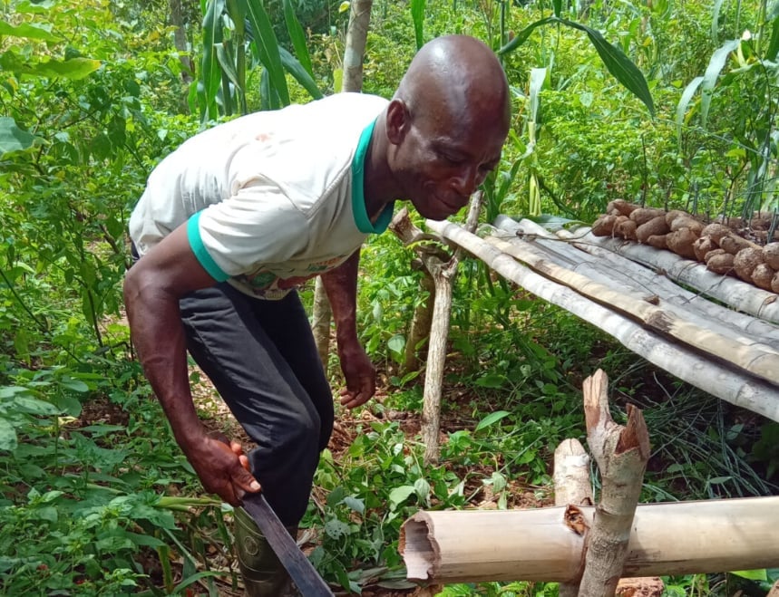 Ông Koffi Kouakou Charles là một trong những nông dân hưởng lợi từ dự án PREMOPEF cải thiện sinh kế Bờ Biển Ngà. Ảnh: FarmersReviewAfrica.