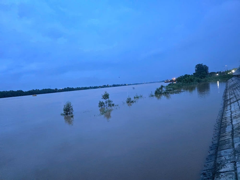 Mực nước lũ trên sông Chu đang lên, nguy cơ cao xảy ra lũ ống. Ảnh: Thu Thủy. Mực nước lũ trên sông Chu đang lên, nguy cơ cao xảy ra lũ ống. Ảnh: Thu Thủy.