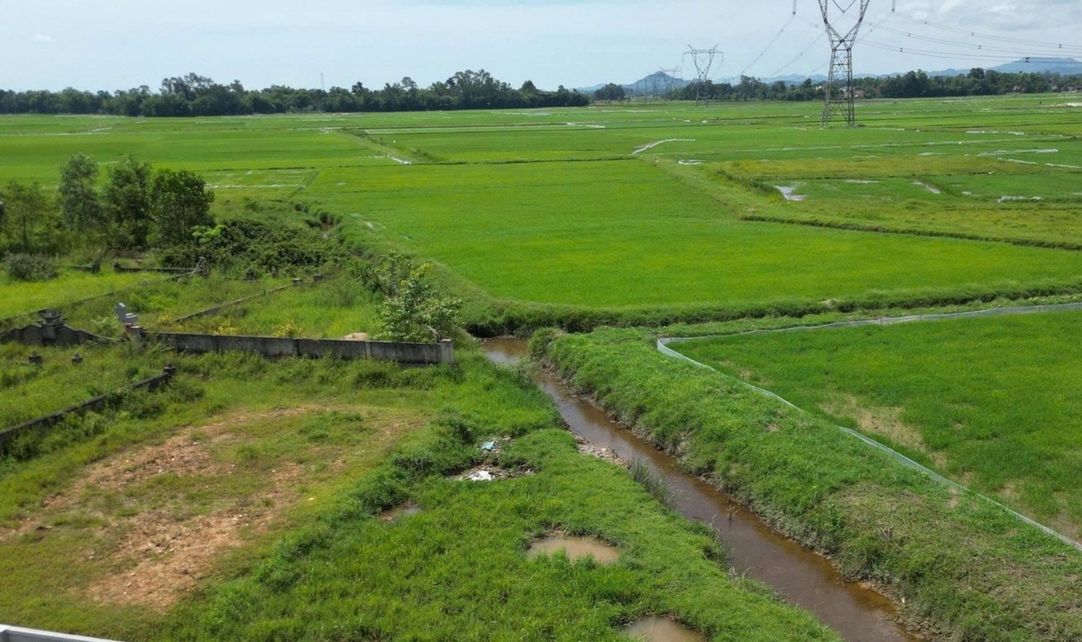 Thiếu quỹ đất phục vụ tiêu hủy gia súc mắc bệnh, nhiều địa phương chôn lấp sơ sài cạnh mương nước, thậm chí chôn ngay trong vườn nhà. Ảnh: Thanh Nga.