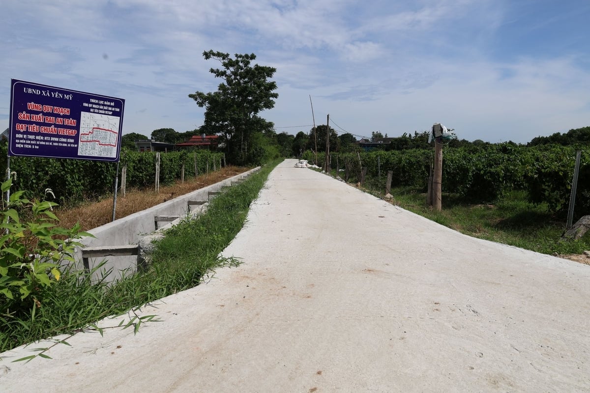 Hệ thống kênh mương và đường bê tông nội đồng được xây dựng từ nguồn hỗ trợ chương trình sản xuất hoa thiên lý đạt tiêu chuẩn VietGAP. Ảnh: Thanh Tâm.