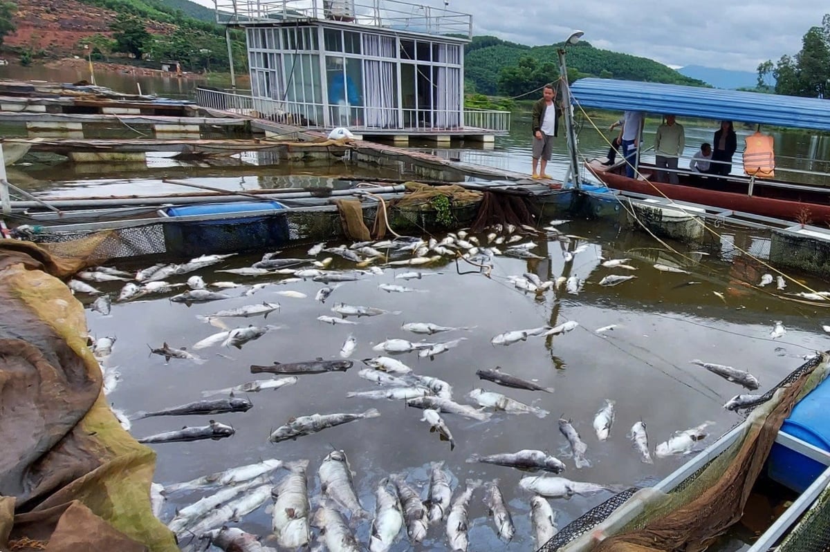 Thiên tai làm thiệt hại lớn đến đời sống và sản xuất của người dân. Ảnh: Phạm Hiếu. Thiên tai làm thiệt hại lớn đến đời sống và sản xuất của người dân. Ảnh: Phạm Hiếu.