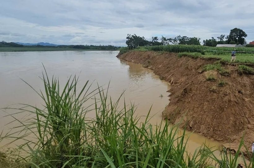Tại thôn Hải Thành, chiều dài đoạn bị sạt lở kéo dài hàng trăm mét, vị trí sạt lở ăn sâu vào đất sản xuất của người dân. Ảnh: Quốc Toản. Tại thôn Hải Thành, chiều dài đoạn bị sạt lở kéo dài hàng trăm mét, vị trí sạt lở ăn sâu vào đất sản xuất của người dân. Ảnh: Quốc Toản.
