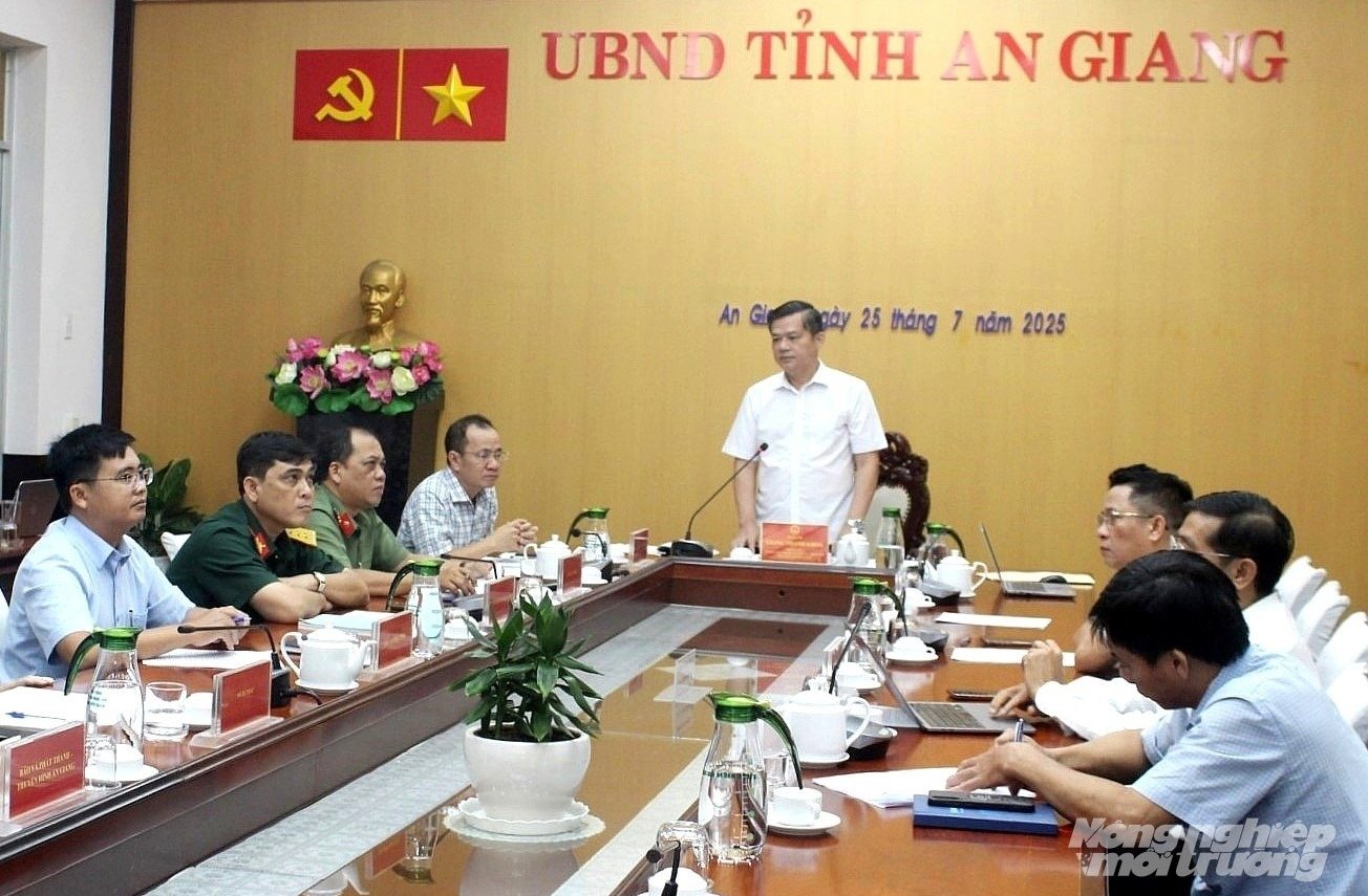 Phó Chủ tịch UBND tỉnh An Giang góp ý cần bổ sung cơ chế đặc thù cấp phép khai thác khoáng sản phục vụ dự án trọng điểm khi triển khai Luật Địa chất và Khoáng sản năm 2024. Ảnh: Trung Chánh.