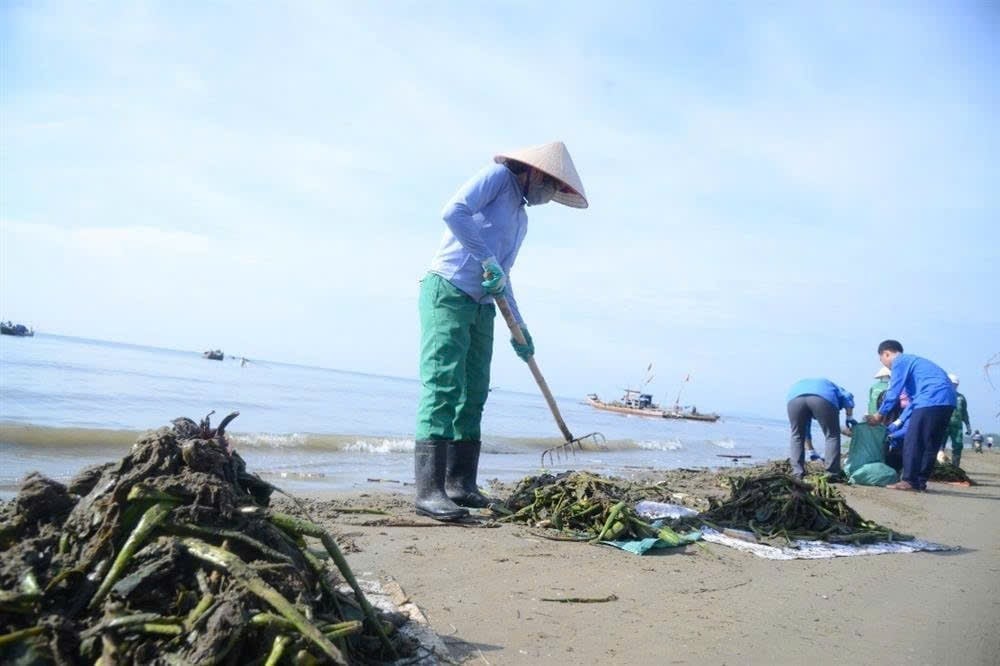 Tập trung thu gom rác thải tại khu du lịch biển Sầm Sơn. Ảnh: Thu Thủy. Tập trung thu gom rác thải tại khu du lịch biển Sầm Sơn. Ảnh: Thu Thủy.