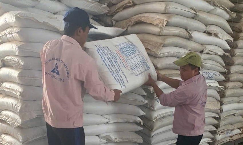 Do thiếu công nghệ sản xuất nên việc chế biến bột cá từ phế, phụ phẩm chưa đạt được kỳ vọng về chất lượng và sản lượng. Ảnh: LB.
