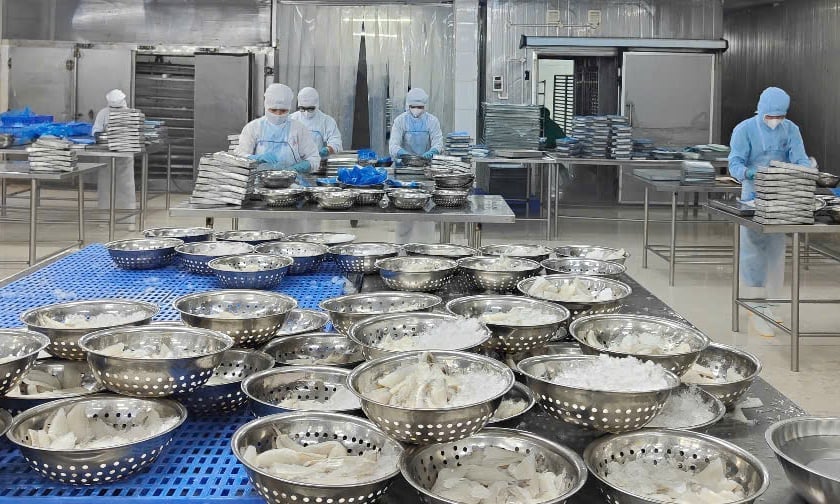Phế, phụ phẩm sau chế biến, xuất khẩu thủy sản vẫn còn nhiều dư địa và tiềm năng kinh tế lớn nếu được nhìn nhận, đầu tư bài bản. Ảnh: Lê Bình.