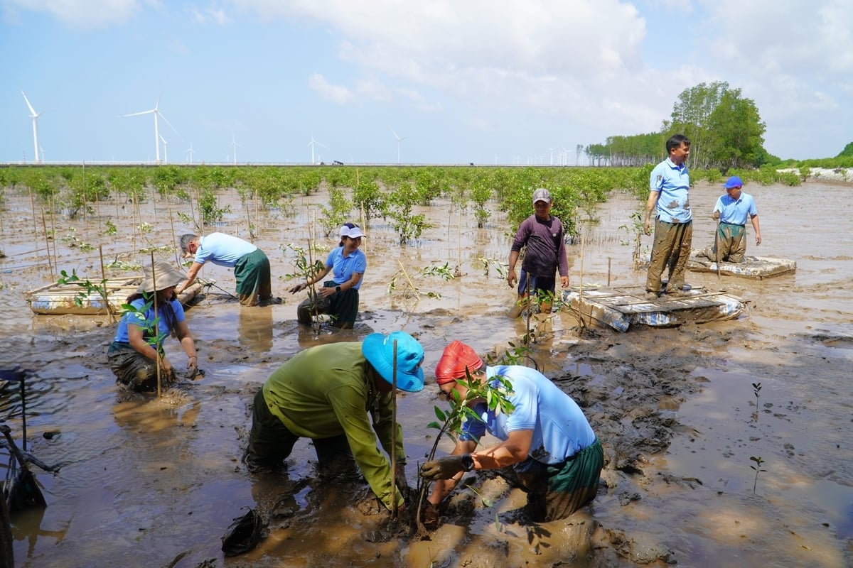 Trong tháng 7/2025, 5 ha rừng ở xã Lai Hòa sẽ được trồng phủ kín. Ảnh: Kim Anh. Trong tháng 7/2025, 5 ha rừng ở xã Lai Hòa sẽ được trồng phủ kín. Ảnh: Kim Anh.