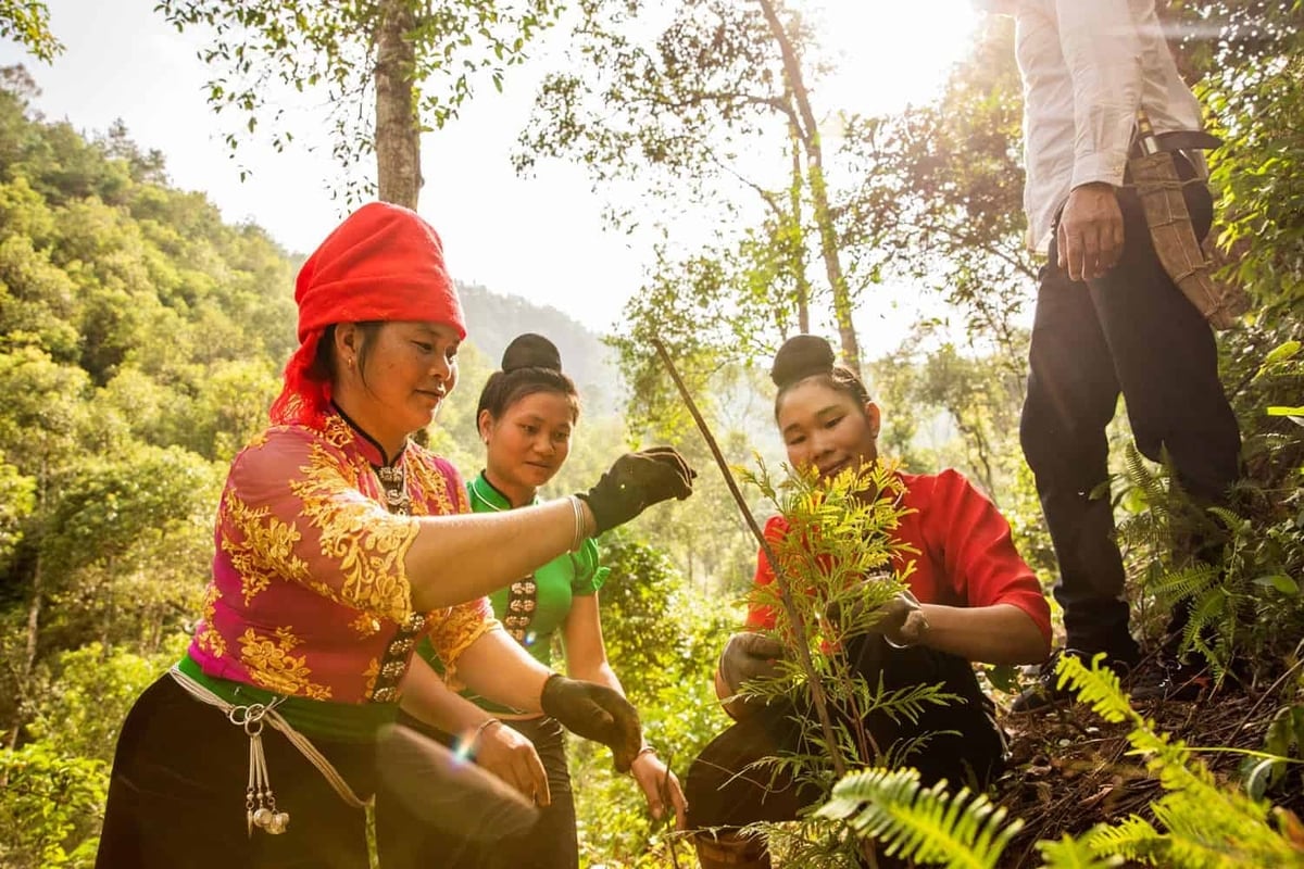 Đại sứ quán Đức mời nộp hồ sơ 'Dự án nhỏ' hỗ trợ cộng đồng tại Việt Nam. Ảnh: GIZ/Binh Dang. Đại sứ quán Đức mời nộp hồ sơ 'Dự án nhỏ' hỗ trợ cộng đồng tại Việt Nam. Ảnh: GIZ/Binh Dang.