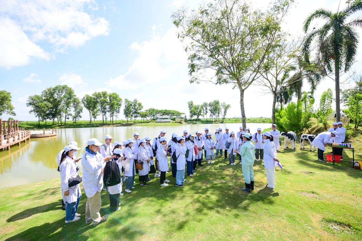 Hơn 30 chuyên gia và nhân sự đang làm việc trong lĩnh vực phát triển bền vững tại nhiều doanh nghiệp, đơn vị hàng đầu tại Việt Nam tham quan trang trại Green Farm Tây Ninh của Vinamilk. Ảnh: Quang Định. Hơn 30 chuyên gia và nhân sự đang làm việc trong lĩnh vực phát triển bền vững tại nhiều doanh nghiệp, đơn vị hàng đầu tại Việt Nam tham quan trang trại Green Farm Tây Ninh của Vinamilk. Ảnh: Quang Định.