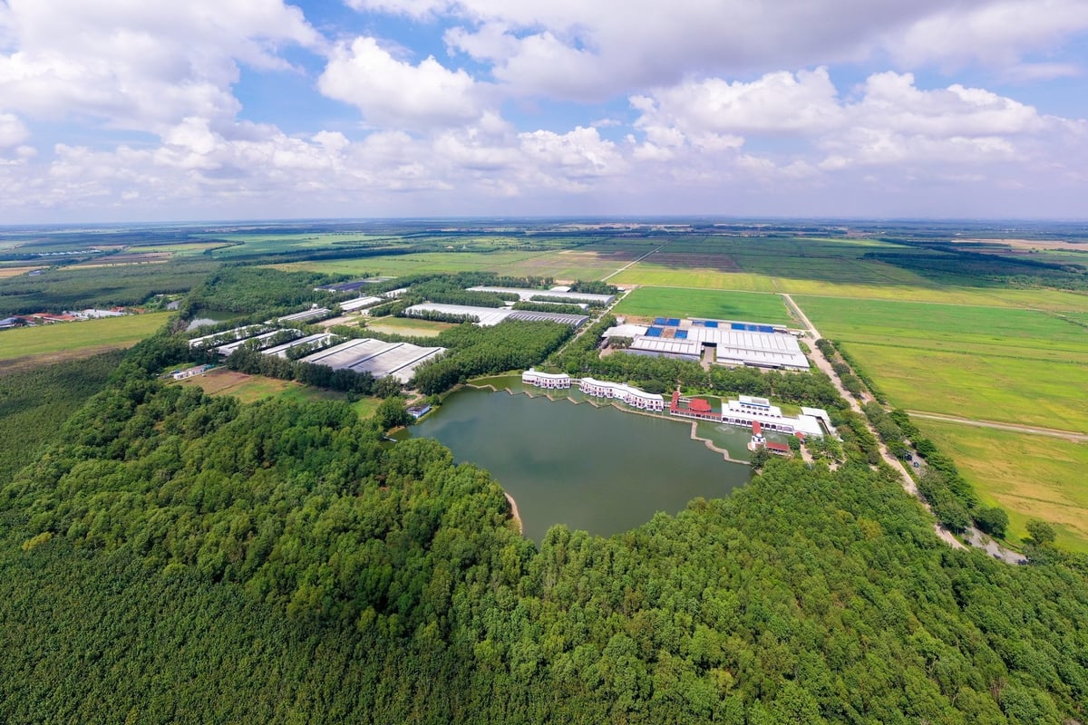 Green Farm Tây Ninh rộng 500 ha đất đai màu mỡ, đạt chuẩn Organic Châu Âu của Vinamilk. Ảnh: Vi Nam. Green Farm Tây Ninh rộng 500 ha đất đai màu mỡ, đạt chuẩn Organic Châu Âu của Vinamilk. Ảnh: Vi Nam.