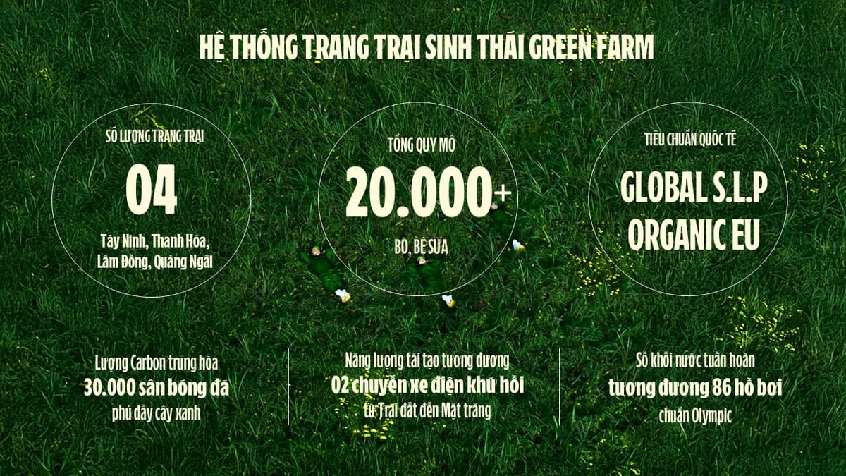 Hệ thống trang trại sinh thái của Vinamilk. Ảnh: Vi Nam. Hệ thống trang trại sinh thái của Vinamilk. Ảnh: Vi Nam.