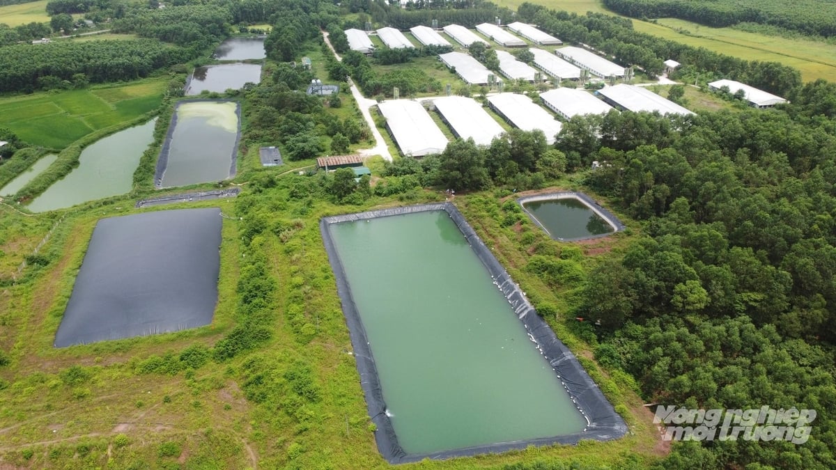Cơ quan chuyên môn kiểm soát chặt chẽ việc chấp hành pháp luật về BVMT tại các cơ sở chăn nuôi. Ảnh: Thanh Nga. Cơ quan chuyên môn kiểm soát chặt chẽ việc chấp hành pháp luật về BVMT tại các cơ sở chăn nuôi. Ảnh: Thanh Nga.