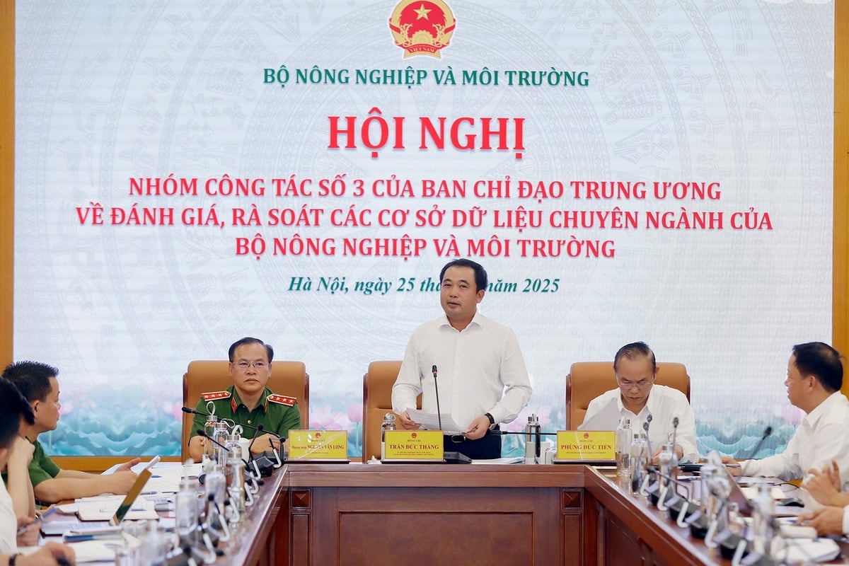 Quyền Bộ trưởng Trần Đức Thắng chủ trì Hội nghị Nhóm công tác số 3 của Ban Chỉ đạo Trung ương về đánh giá, rà soát các cơ sở dữ liệu chuyên ngành của Bộ Nông nghiệp và Môi trường. Ảnh: Khương Trung. Quyền Bộ trưởng Trần Đức Thắng chủ trì Hội nghị Nhóm công tác số 3 của Ban Chỉ đạo Trung ương về đánh giá, rà soát các cơ sở dữ liệu chuyên ngành của Bộ Nông nghiệp và Môi trường. Ảnh: Khương Trung.