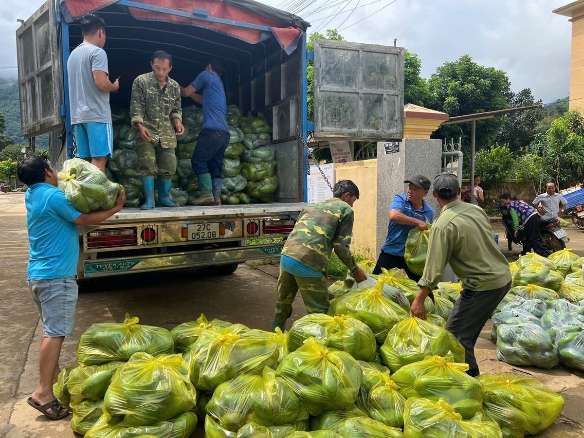 Cán bộ, người dân xã Pú Nhung tập kết vận chuyển xoài. Ảnh: Hoàng Châu. Cán bộ, người dân xã Pú Nhung tập kết vận chuyển xoài. Ảnh: Hoàng Châu.