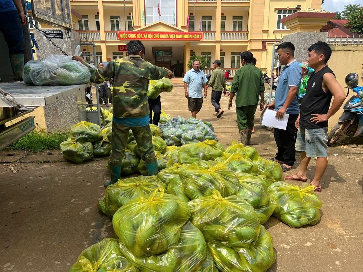 Vận chuyển xoài về bán tại Sơn La. Ảnh: Hoàng Châu. Vận chuyển xoài về bán tại Sơn La. Ảnh: Hoàng Châu.