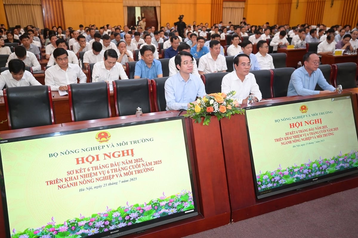 Các đại biểu tham dự Hội nghị chiều 25/7. Ảnh: Tùng Đinh. Các đại biểu tham dự Hội nghị chiều 25/7. Ảnh: Tùng Đinh.