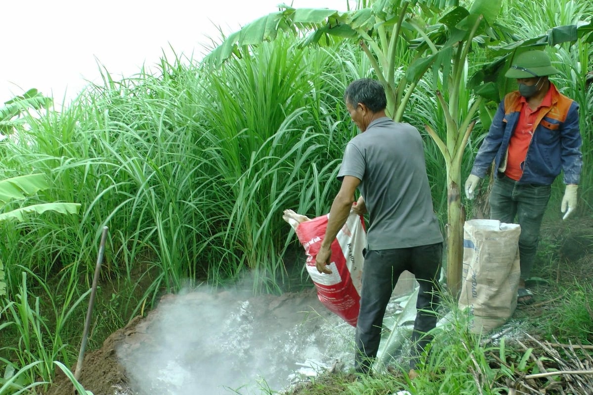 Tại xã Quy Mông, đến nay đã có 10/30 thôn phát hiện ổ dịch. Ảnh: Thanh Tiến.
