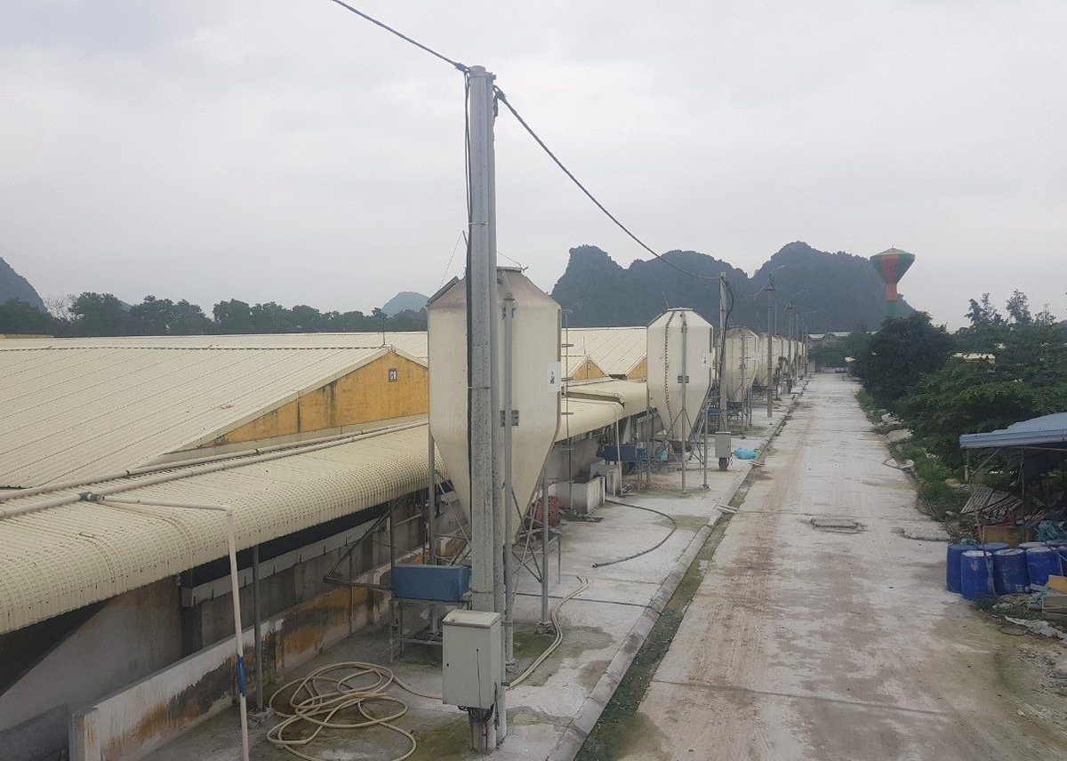 Hệ thống chuồng trại chăn nuôi hiện đại tại Công ty TNHH Lợn giống Dabaco Hải Phòng. Ảnh: Đinh Mười.