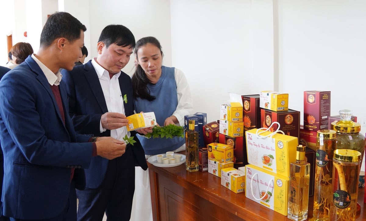 Hơn 700 sản phẩm mang thương hiệu 'Đà Lạt - Kết tinh kỳ diệu từ đất lành' đã giúp nâng cao giá trị và độ tin cậy với người tiêu dùng trong và ngoài nước đối với nông sản Lâm Đồng. Ảnh: Nguyễn Thủy.