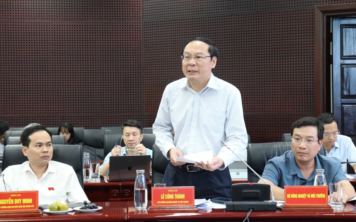 Thứ trưởng Bộ NN-MT Lê Công Thành đưa ra nhiều góp ý, khuyến nghị để Đà Nẵng thực hiện tốt Luật BVMT năm 2020. Ảnh: Lan Anh.