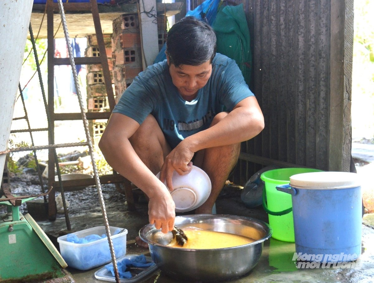 Kỹ thuật viên đang thụ tinh trứng cá thát lát cườm, đây được xác định là khâu quan trọng, giúp tạo ra những đàn cá khỏe mạnh, đáp ứng tốt nhu cầu thả nuôi thương phẩm. Ảnh: Trung Chánh.