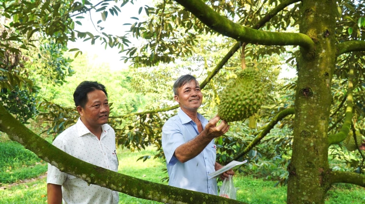 Nếu có niềm tin và sự đồng hành đúng cách, nông dân sẽ thay đổi và họ chính là lực lượng nòng cốt cho giấc mơ nông nghiệp công nghệ cao. Ảnh: Trần Phi. Nếu có niềm tin và sự đồng hành đúng cách, nông dân sẽ thay đổi và họ chính là lực lượng nòng cốt cho giấc mơ nông nghiệp công nghệ cao. Ảnh: Trần Phi.
