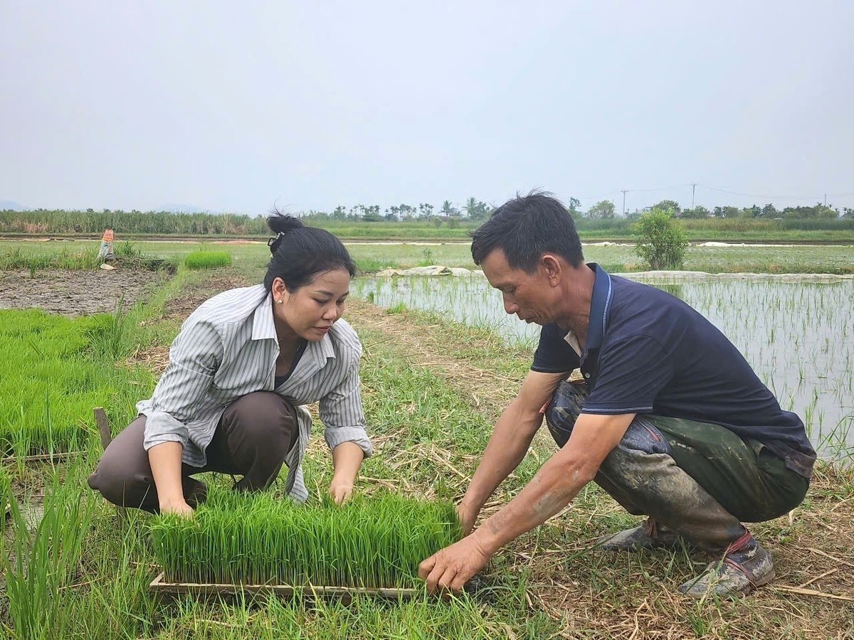 Người dân đã sớm quay trở lại ổn định sản xuất mùa vụ bình thường. Ảnh: Đinh Mười. Người dân đã sớm quay trở lại ổn định sản xuất mùa vụ bình thường. Ảnh: Đinh Mười.
