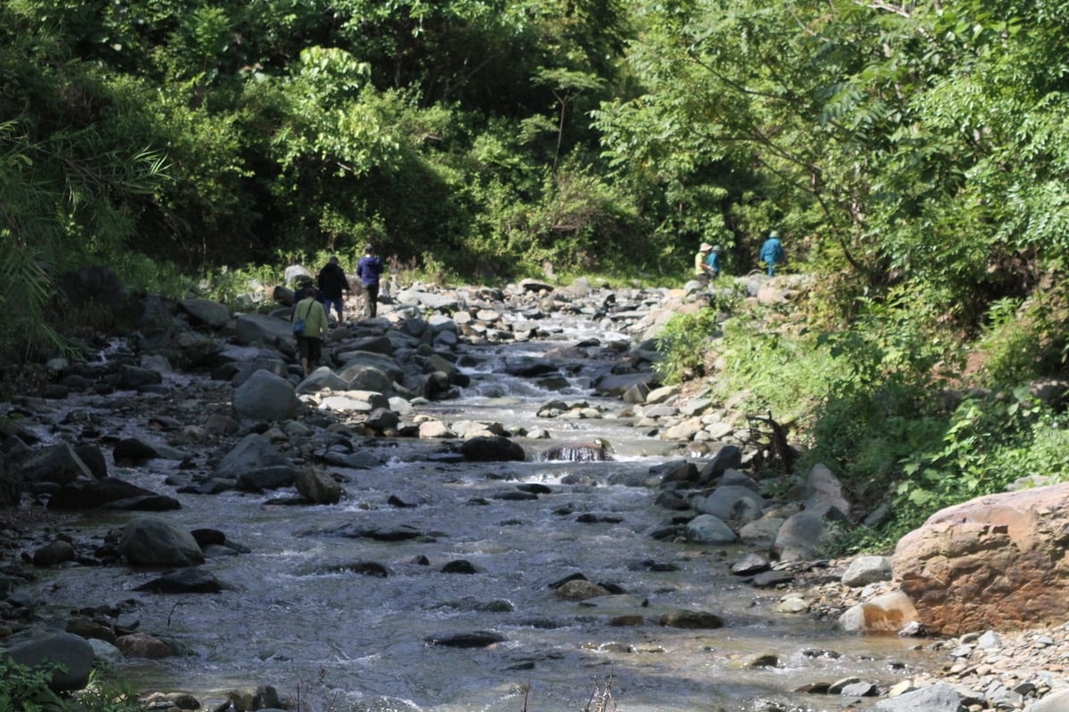 Điểm khai thác vàng nằm sâu trong rừng, cách trung tâm xã hơn 6km đường rừng. Để đến khu vực này, phải di chuyển đi bộ qua nhiều đoạn đường và suối hiểm trở. Ảnh: Nguyễn Nga. Điểm khai thác vàng nằm sâu trong rừng, cách trung tâm xã hơn 6km đường rừng. Để đến khu vực này, phải di chuyển đi bộ qua nhiều đoạn đường và suối hiểm trở. Ảnh: Nguyễn Nga.