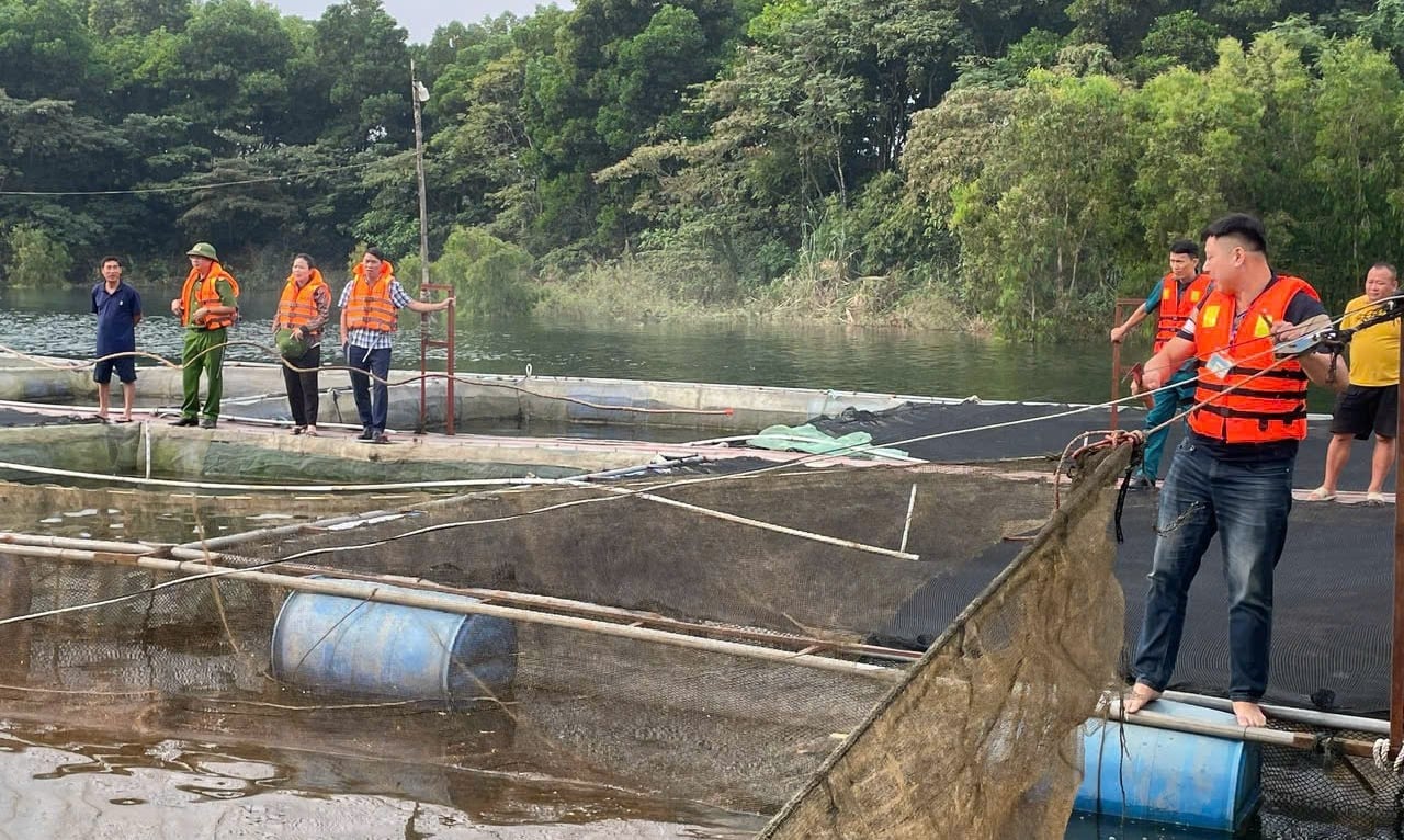 Tình trạng sử dụng lưới mắt nhỏ, vó đèn đánh bắt trên vùng hồ Thác Bà vẫn còn. Ảnh: Thanh Tiến. Tình trạng sử dụng lưới mắt nhỏ, vó đèn đánh bắt trên vùng hồ Thác Bà vẫn còn. Ảnh: Thanh Tiến.