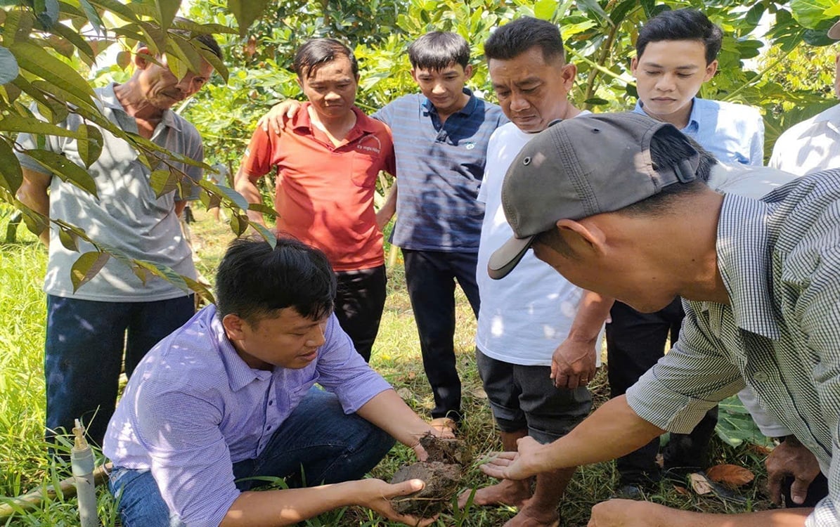 Kiểm soát, phục hồi đất sạch là yêu cầu cấp thiết. Ảnh: Thanh Bạch. Kiểm soát, phục hồi đất sạch là yêu cầu cấp thiết. Ảnh: Thanh Bạch.