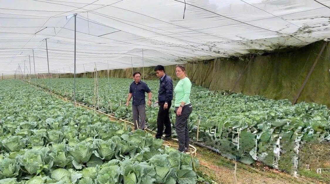 Anh P.N.T, nông dân tại huyện Đức Trọng (cũ), tỉnh Lâm Đồng chia sẻ với nhân viên công ty. Ảnh: Sumitomo Chemical Việt Nam. Anh P.N.T, nông dân tại huyện Đức Trọng (cũ), tỉnh Lâm Đồng chia sẻ với nhân viên công ty. Ảnh: Sumitomo Chemical Việt Nam.