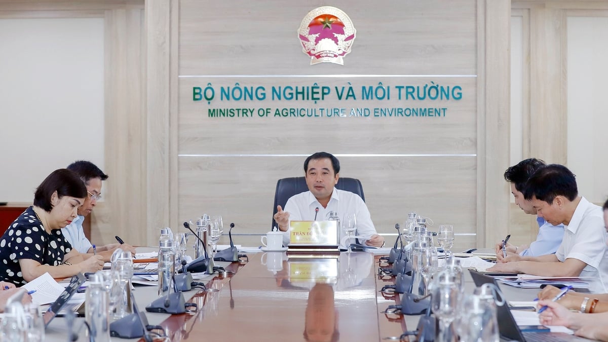 Quyền Bộ trưởng Trần Đức Thắng yêu cầu hoàn thành gấp dự án luật sửa các luật lớn trong nông nghiệp, môi trường, tập trung cắt giảm thủ tục và phân cấp. Ảnh: Khương Trung. Quyền Bộ trưởng Trần Đức Thắng yêu cầu hoàn thành gấp dự án luật sửa các luật lớn trong nông nghiệp, môi trường, tập trung cắt giảm thủ tục và phân cấp. Ảnh: Khương Trung.